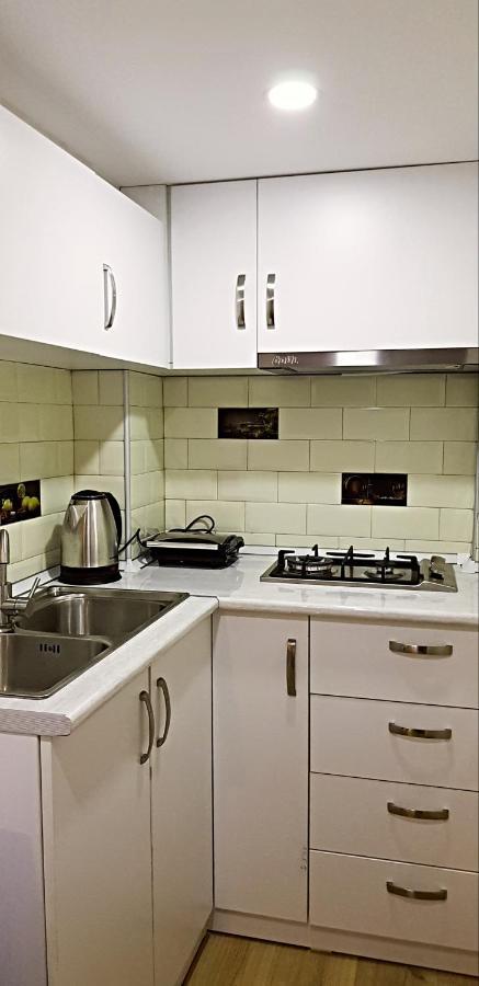 טביליסי Bright And Cozy Apartment On Aghmashenebeli Avenue מראה חיצוני תמונה